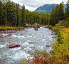 Die kanadische Provinz Alberta - Wälder, Berge, Bären und Kultur
