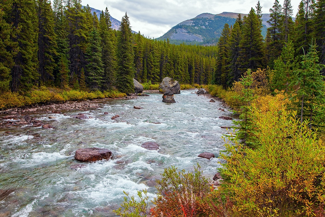 Die kanadische Provinz Alberta - Wälder, Berge, Bären und Kultur