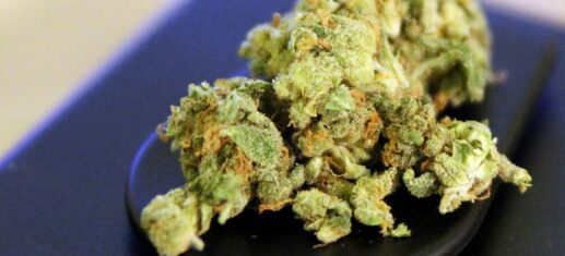 Aerzteverband-kritisiert-Cannabis-Legalisierung-als-quotKapitulationquot.jpg