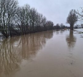 Überschwemmung am Fluss Aue in Niedersachsen, via