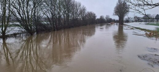 Überschwemmung am Fluss Aue in Niedersachsen, via 