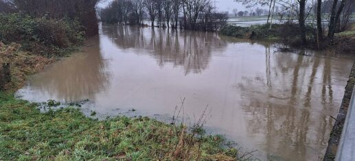Überschwemmung am Fluss Aue in Niedersachsen, via 