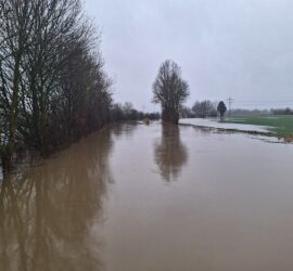 Überschwemmung am Fluss Aue in Niedersachsen, via