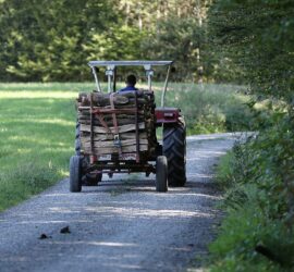 Holztransport mit einem Traktor (Archiv), via