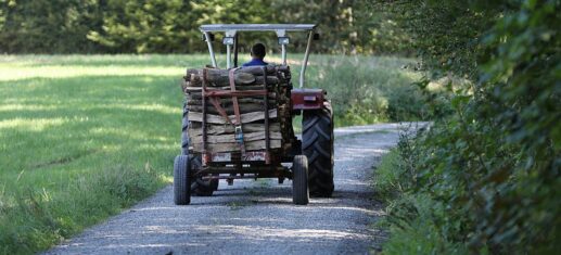 Holztransport mit einem Traktor (Archiv), via 
