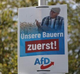 AfD-Wahlplakat zur Landtagswahl in Bayern 2023 (Archiv), via