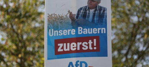 AfD-Wahlplakat zur Landtagswahl in Bayern 2023 (Archiv), via 