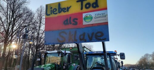 Bauernproteste (Archiv), via 