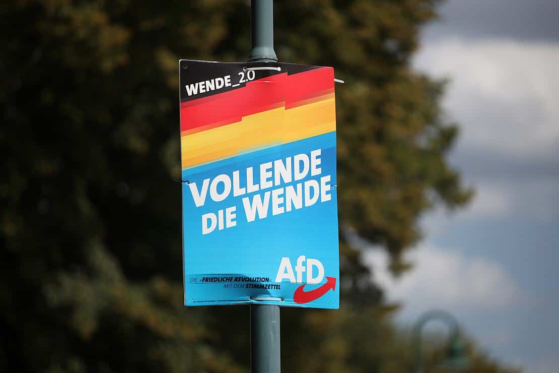 AfD-Plakat (Archiv), via