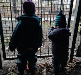Kinder hinter einem Gitter (Archiv), via