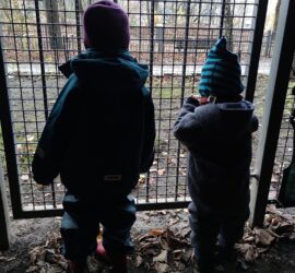 Kinder hinter einem Gitter (Archiv)
