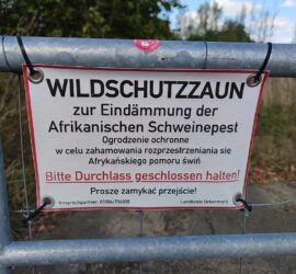 Wildschutzzaun (Archiv)