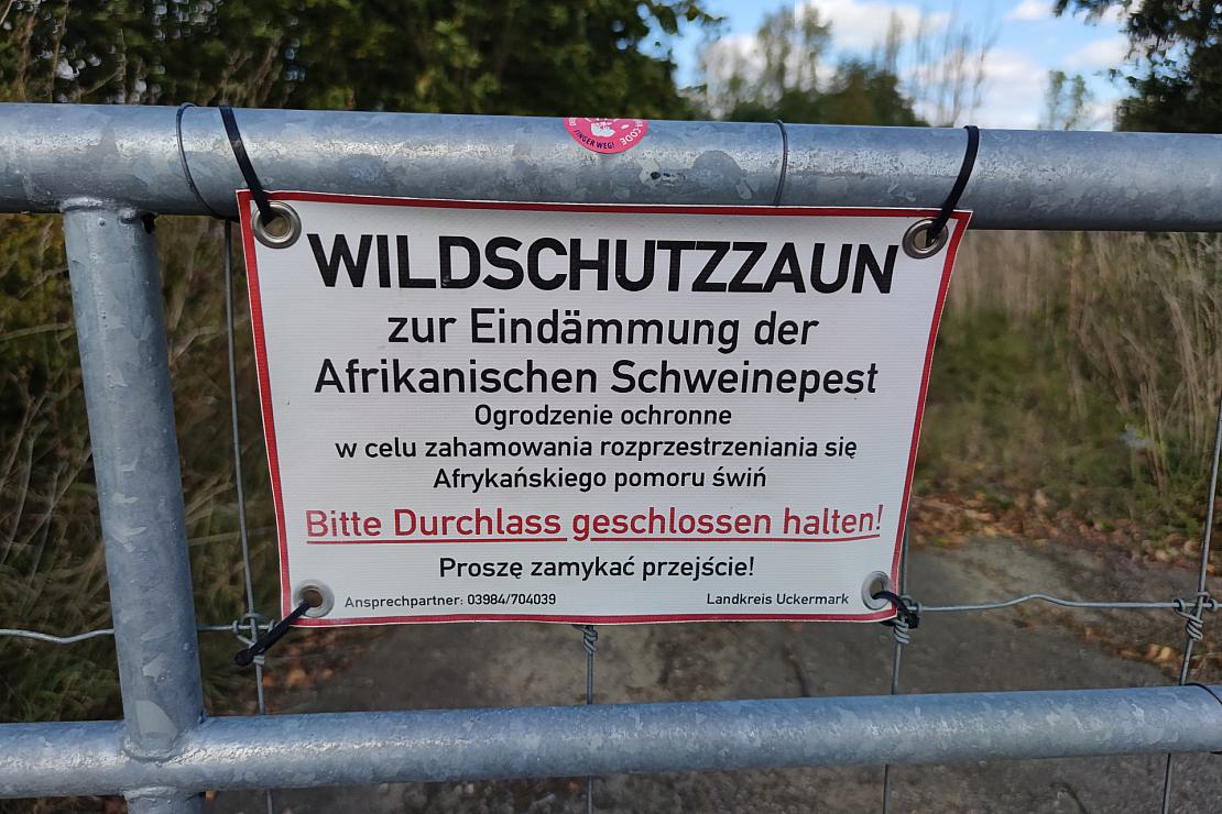 Wildschutzzaun (Archiv)