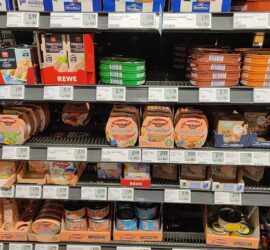 Supermarktregal mit Thunfisch-Dosen (Archiv)